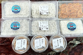 【福袋】シラスとシラウオの豪華食べ比べセット
