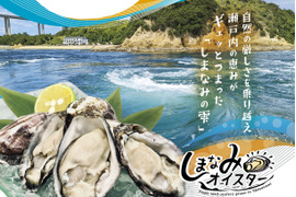 瀬戸内で生まれた生食用真牡蠣！
しまなみオイスター(50個入)