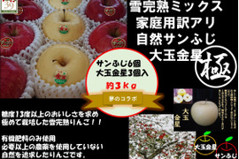青森りんご  大人気　希少コラボ 鮮度良し！！果汁タップリ！！りんごの香りタップリ！！
 （極みサンフジ雪完熟りんごと希少大玉金星ミックス）
3kg9個入り