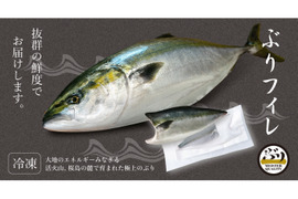 【鹿児島産ぶり】2.8kg以上 冷凍・ぶりフィレ（半身2枚）