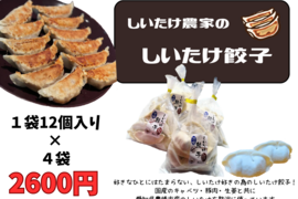 《冷凍》しいたけたっぷり！しいたけ餃子 １袋12個入×４袋