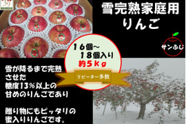 青森県産りんご 大人気 糖度１３%以上保証「冬ギフト」雪完熟家庭用サンふじ５Kg１６個入