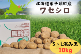 北海道のジャガイモ！『ワセシロ』(10kg)