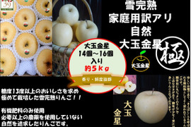 青森りんご  大人気　「希少 」
鮮度良し！！果汁タップリ！！りんごの香りタップリ！！
 （極み希少大玉金星ミックス）
5kg14個〜16個入
