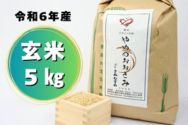 しょうすけ様専用令和6年 宮崎県産 新米 玄米20キロ 夏の笑み