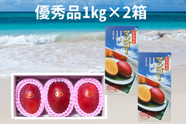 【優秀品2箱買い】宮古島産完熟マンゴー1㎏(2～3玉)×2箱