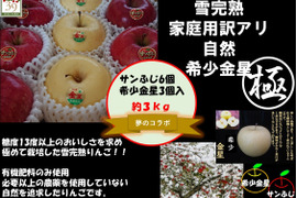 青森りんご  大人気　希少コラボ 高評価の為味に自信あり！！果汁タップリ！！りんごの香りタップリ！！
 （極みサンフジ雪完熟りんごと希少金星ミックス）
3kg9個〜11個入り