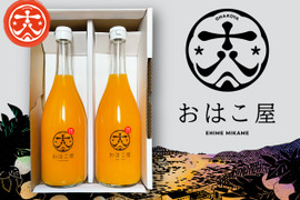 『初出品記念価格』極甘‼　みかんジュース　２本セット　　みかんよりみかんの味がする!!!
