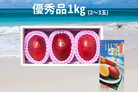【優秀品】人気！宮古島産完熟マンゴー1㎏(2～3玉)　贈答品、夏ギフトに!