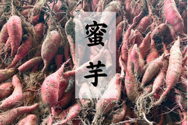 熟成蜜芋　蜜芋　(2㎏)　シルクスウィート　さつまいも　サツマイモ