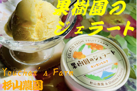 果樹園のジェラート『夏にさっぱりシャーベットおすすめセット』６個入り