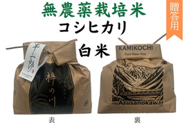 【令和７年産】栽培期間中農薬不使用　コシヒカリ　白米　3kg　贈答用