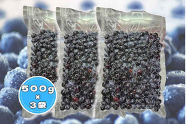 栽培期間中化学農薬不使用！冷凍ブルーベリー 500g×3パック(計1.5kg)
