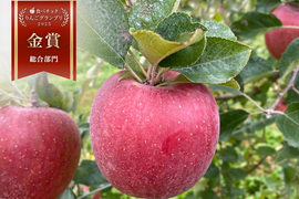 🏆りんごGP金賞受賞🏆【サステナりんご】信州安曇野産サンふじ家庭用3キロ（8~12個）🍎 ※化学合成農薬約60%削減