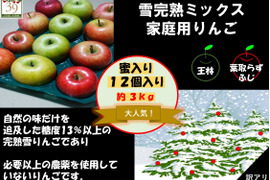 青森県弘前市産りんご 「大人気」「夢のコラボ」蜜入り糖度１３%以上 家庭用雪完熟葉とらずサンふじ、王林ミックス約３kg１２個入り