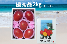 【優秀品2箱買い】宮古島産完熟マンゴー2㎏(4～6玉)×2箱