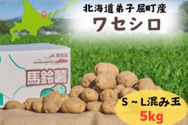 北海道のジャガイモ！『ワセシロ』(5ｋｇ)