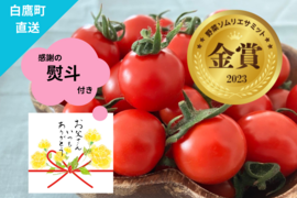 【父の日ギフト】金賞フルーツトマト『アマティ』1kg（250gx4p）