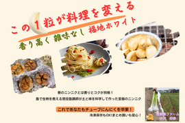 福地ホワイトにんにく 約1kg｜国産・冷凍保存OK もうチューブには戻れない芳醇な香り　肉・魚料理を１ランク上に