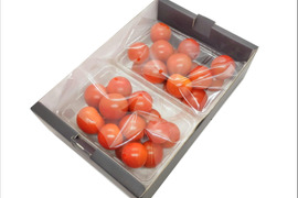 【夏ギフト】《超おいしい》甘みの強いフルーツミニトマト(800g)「熨斗対応可」