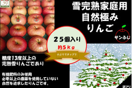 青森県産りんご 　選びに選び抜いたりんご！！自然たっぷりの味！！家庭用訳アリ 5kg  25個入り