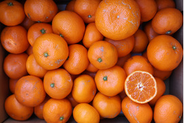 農家直送！有田みかん5kg.≪訳あり（サイズ混合）≫【平武農園】～蛍飛ぶ町から旬の便り～　和歌山｜有田｜田口｜ギフト｜こだわり　産地直送　お取り寄せ