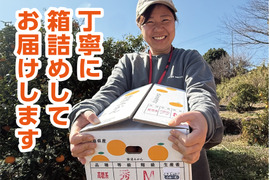 今が食べ頃♫　勝浦産 貯蔵みかん（ご家庭用）5kg｜徳島県勝浦町