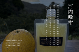 【夏ギフト】冷凍河内晩柑ジュース6本セット（1本150ml）