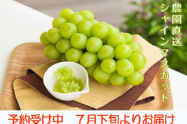 先行予約受け付け中７月下旬よりお届けで
この値段です