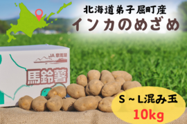 北海道のジャガイモ！『インカのめざめ』（10ｋｇ）