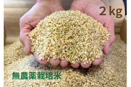 【令和７年産】栽培期間中農薬不使用　コシヒカリ　玄米　2kg
