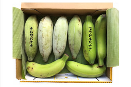 【今だけ特別価格からさらに値下げ！】大人気！ブラジルバナナ＆ナムワバナナ計１kg