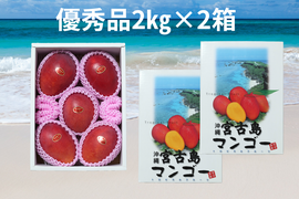 【優秀品2箱買い】宮古島産完熟マンゴー2㎏(4～6玉)×2箱