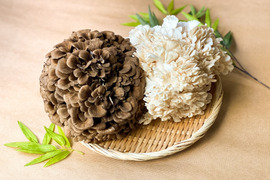 2株入り2箱セット(黒黒、白黒セット)濃厚味わい！苦み少ない「びっくり舞茸」(1株 650g以上)