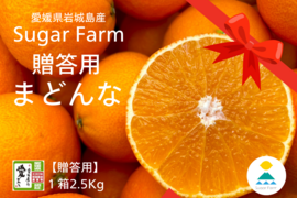 【贈答用】シュガーファームのハウスまどんな2.5kg×2箱★特別栽培認証★