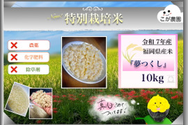 Đ*t様 くず米　玄米、実りつくし、農薬未使用　令和６年産　約20kg 準自然米 大好評の福岡県産「元気つくし」令和6年産 玄米5kg