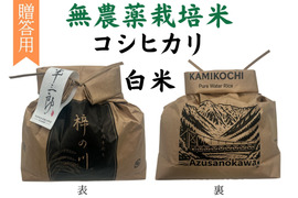 【令和７年産】栽培期間中農薬不使用　コシヒカリ　白米　3kg　贈答用