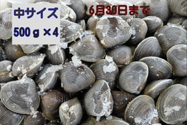 食べチョク登録記念！
冷凍品『とれたて新鮮しじみをすばやく冷凍』十三湖産大和しじみ（砂抜き済み）　中サイズ500ｇ×4Ｐ