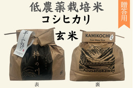 【令和７年産】低農薬栽培米　コシヒカリ　玄米　3kg　贈答用