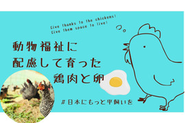 【動物福祉】に配慮して育った鶏肉（モモ＋胸）と平飼い卵！