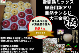 青森県産りんご 希少コラボ 果汁タップリ、りんごの香りタップリ！！
 （極みサンフジ雪完熟りんごと希少大玉金星ミックス）
５kg１６個入り