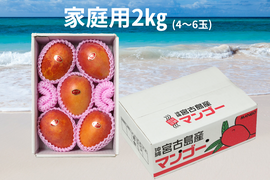 【家庭用】宮古島産完熟マンゴー2㎏(4～6玉)