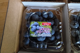 【農薬・化学肥料不使用】完熟！しあわせのブルーベリー（生食用）100g×6p
