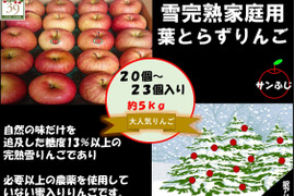 青森県産りんご 大人気 リピーター多数 糖度１３%以上保証  雪完熟自然りんご栽培家庭用葉とらずサンふじ「限定販売」５kg