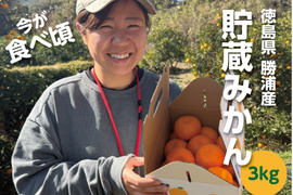 勝浦産 貯蔵みかん（青秀）3kg｜徳島県勝浦町