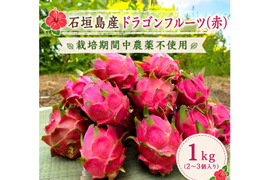 石垣島産☆『ドラゴンフルーツ(赤)』栽培期間中農薬不使用 1kg