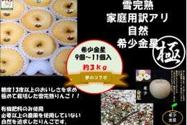 青森県産りんご 出回ってない珍しい希少品種
「限定１０セット」極み甘み雪完熟金星　9個～11個入り