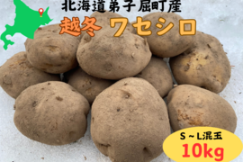 北海道の越冬ジャガイモ『ワセシロ』(10ｋｇ)