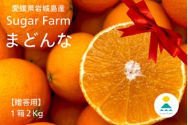 (贈答向け)シュガーファームのハウスまどんな2kg 【冬ギフト】にぴったり！熨斗対応◎