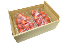 【お徳用無選別】《超おいしい》甘みの強いフルーツミニトマト（800g）簡易包装　ギフト包装不可